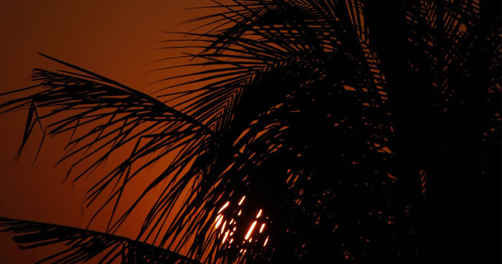 就寝時こそご用心！睡眠中に起こりやすい夜間熱中症とは？