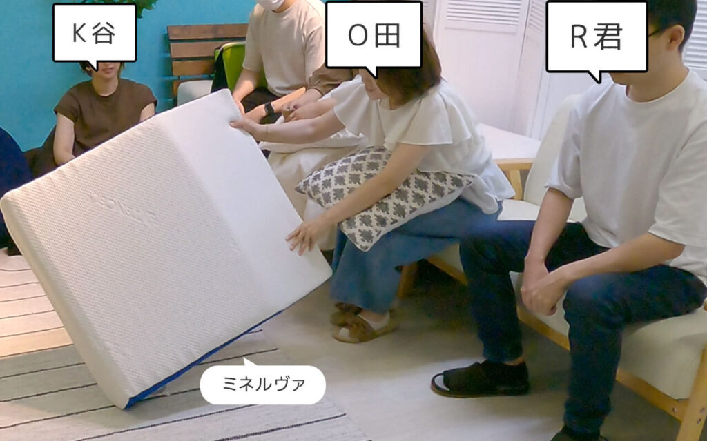 サイズが大きく、足枕というよりは足用マットレスなミネルヴァの梟